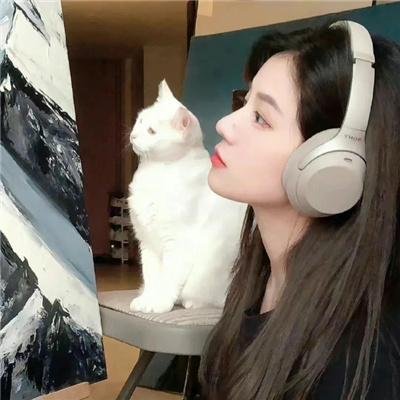 安吉里卡奇遇